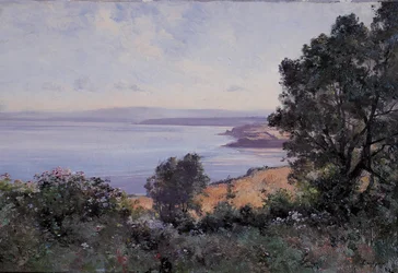 Douarnenez, blé et arbres en vue