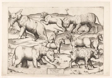 Neuf animaux