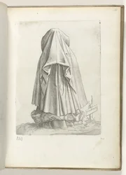 Flandrienne