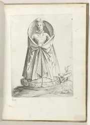 Flandrensis
