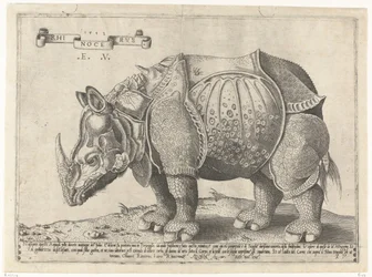 Rhinocéros