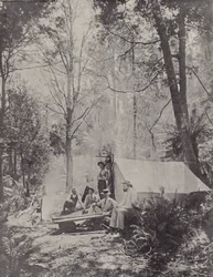 Un camp dans la brousse, Tasmanie