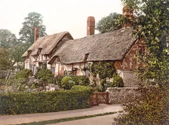 Cottage d