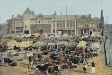 Marché du matin, Johannesburg