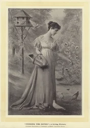 Nourrir les colombes : une image vivante