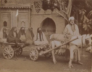 Chariot tiré par des chevaux, Le Caire, 1893