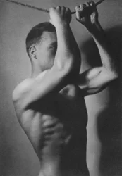Illustration pour Le Corps Masculin