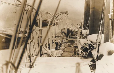 Canots de sauvetage sur un paquebot