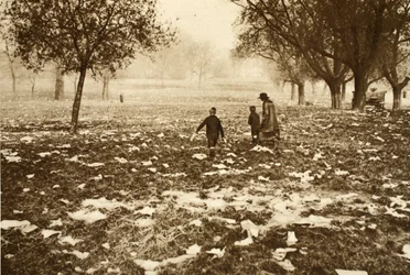 Pelouse jonchée de détritus à Hampstead Heath le lendemain d