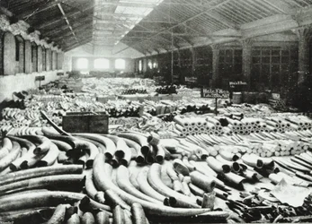 London Docks : entrepôt d