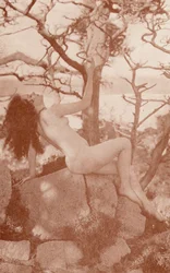 Art nudiste : Tanglewood