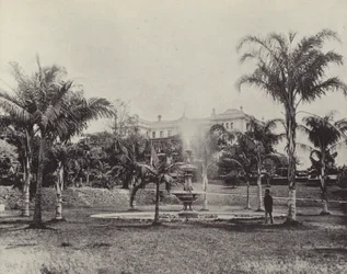 Palmiers et fontaine, jardins botaniques, Brisbane