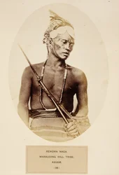 Rengma Naga, tribu maraudeuse des collines, Assam, de The People of India, par J. Forbes Watson, publié en 1868