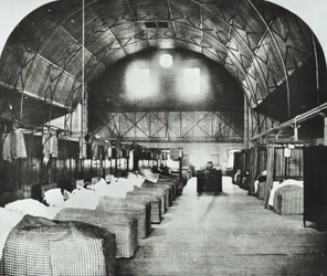 Hôpital St Thomas: salle temporaire dans le Surrey Gardens Music Hall, 1868