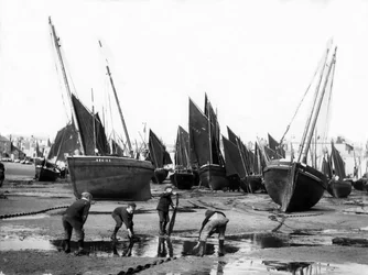La flotte de pêche dans le port de St Ives, vers 1880-99