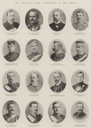 La guerre du Transvaal, pertes au front