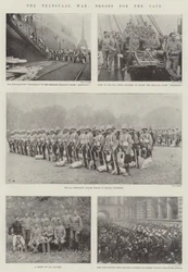 La guerre du Transvaal, troupes pour le Cap
