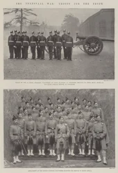 La guerre du Transvaal, troupes pour le front