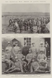 La guerre du Transvaal, troupes en service actif
