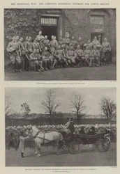 La guerre du Transvaal, le régiment composite de la maison pour le service actif