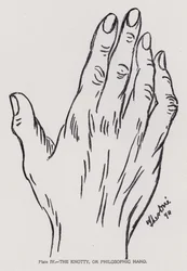 La main noueuse ou philosophique (photo n/b)