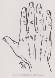 La main carrée, ou main utile