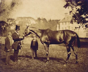 Wild Dayrell, vainqueur du Derby en 1856