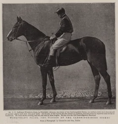 Winkfields Pride, le vainqueur des Cambridgeshire Stakes