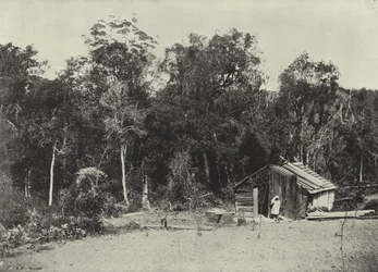 Cabane de bûcheron, Knysna