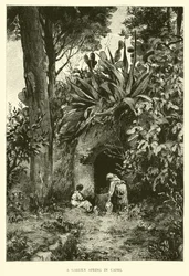 Une source de jardin à Capri