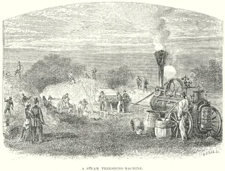 Une machine à battre à vapeur (gravure)