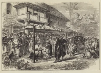 Un mariage de tigres à Coorg, Inde