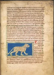 Un tigre, de Sloane 3544, f.2
