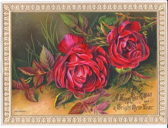 Carte de Noël et du Nouvel An victorienne représentant deux grandes roses rouges, vers 1880
