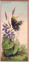 Carte de vœux victorienne du Nouvel An avec des violettes et un papillon, c.1880