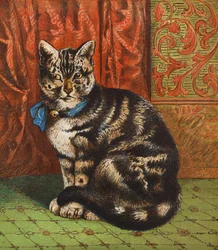 Un chat à la mode (lithographie couleur)