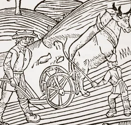 Une paire de bœufs attelés à une charrue, page de titre du Boke of Husbandry de John Fitzherbert, première publication 1523