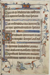 Dame à sa toilette, illustration du 