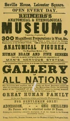 Annonce pour le musée anatomique et ethnologique de Reimers