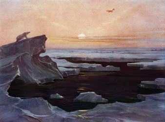 Avion volant au-dessus de l