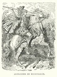 Alexandre sur Bucéphale (gravure)