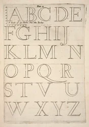 Feuille de spécimen d
