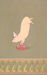 Un cochon anthropomorphe se produisant dans un cirque