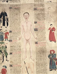 Diagramme anatomique, de De arte phisicali e de cirugia par John Ardene, 1412