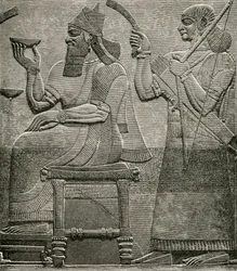 Ashur-nasir-pal II, d