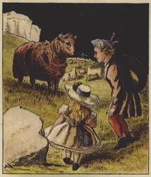 Baa, Baa, Mouton noir