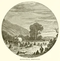 Champ de bataille, Shrewsbury