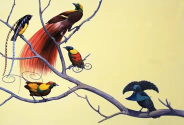 Oiseaux de paradis