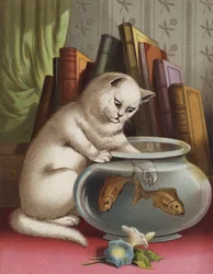 Blanchie et le poisson rouge