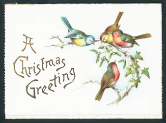 Mésanges bleues et rouges-gorges, Carte de Noël